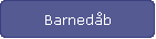 Barnedb