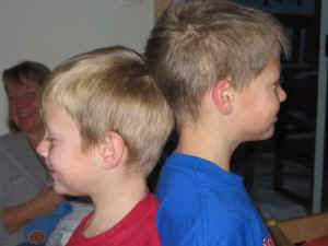 130-3072_IMG.JPG (138911 bytes)
